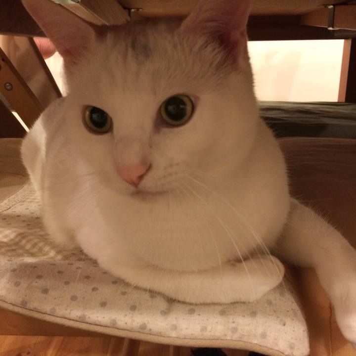 80f15108 f281 4e62 97a3 debee6d1e15e