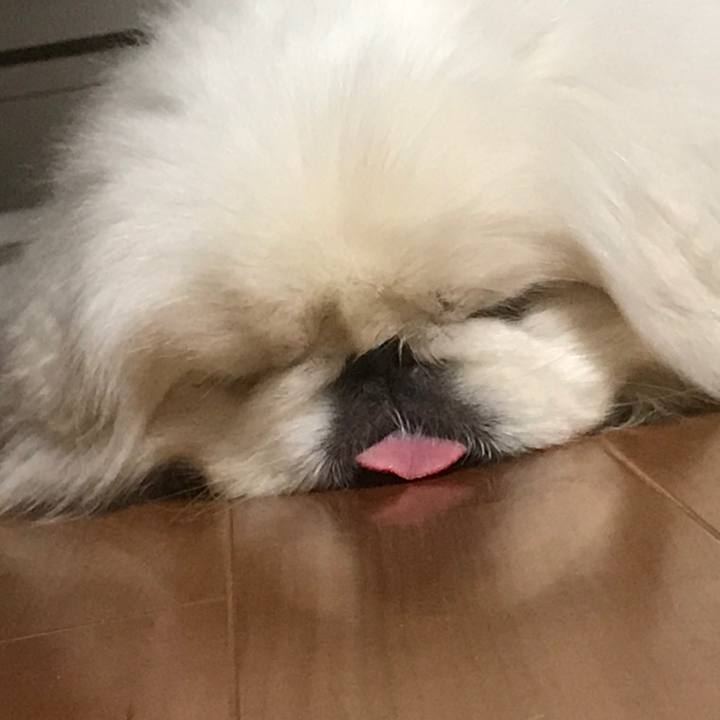 80f1c01b 9a46 4af3 8f99 45e884385e39