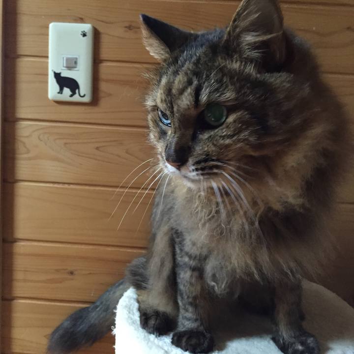 80f2739f 5e7f 4053 8b80 e040a362f0eb