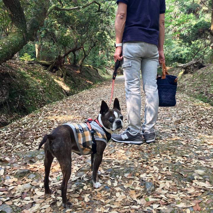 80f3756a f391 4f30 99d8 ae81e306c920