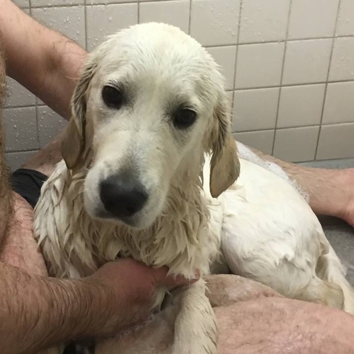 80f408d8 c1b8 4dc4 a1d9 0d12f6e0f876