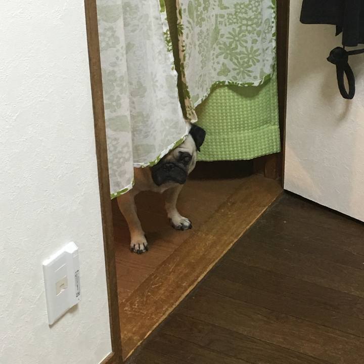 80f46e3e 8cce 4431 9950 6f3a73206e9b