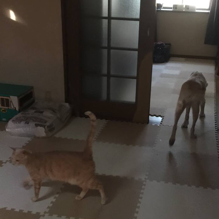 80f4ea14 06cb 4cb6 9b57 333015799ddc