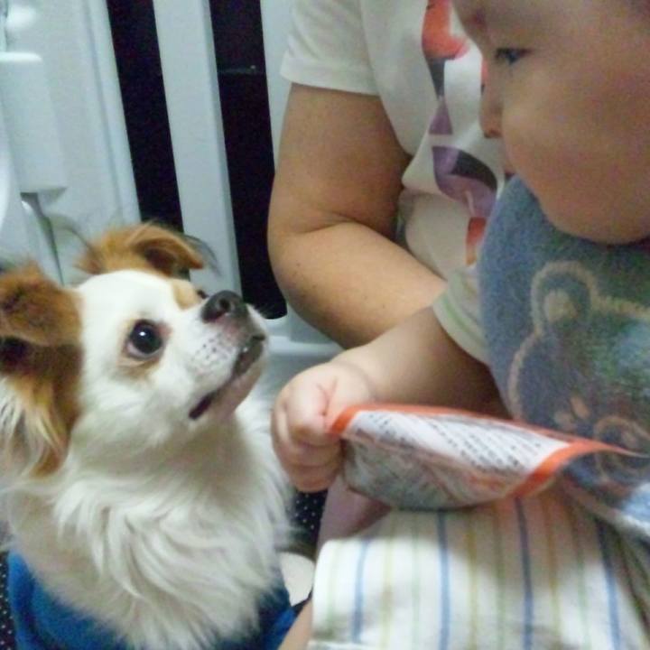 80f508ee e5c0 4a68 9395 d0aa472dea9c