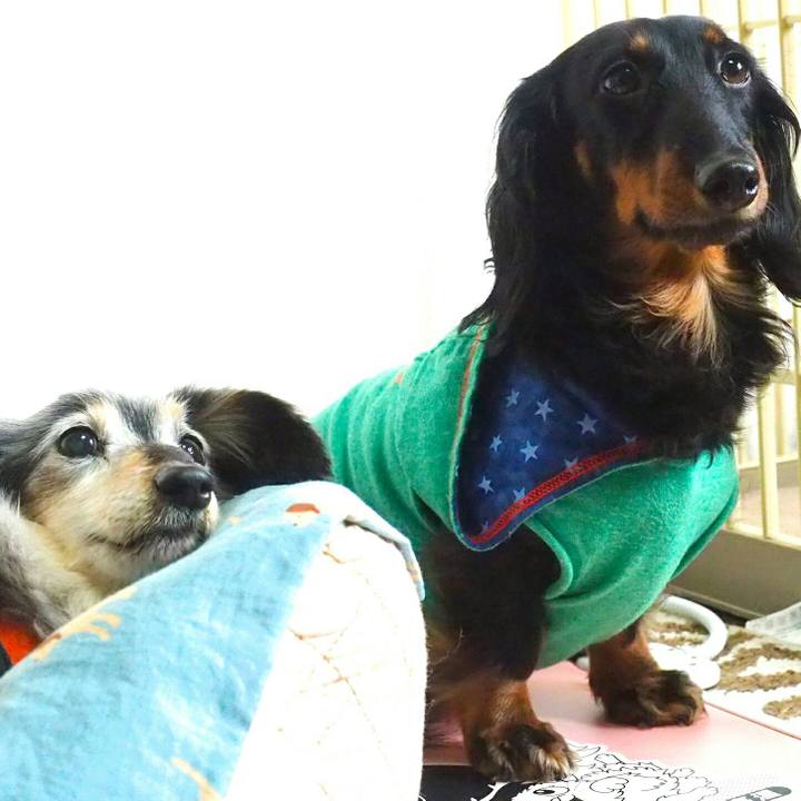 80f53676 5e91 4343 bc11 a02d58b35ceb