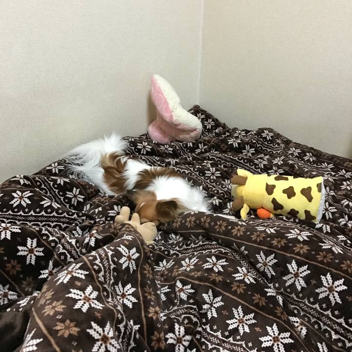 80f576d4 158e 4864 a5d9 4f77198f7d56