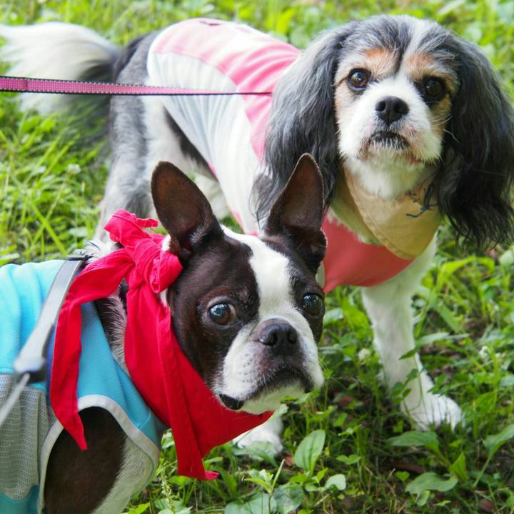 80f60e4a 84c5 4488 bee2 7d9b3e84215c