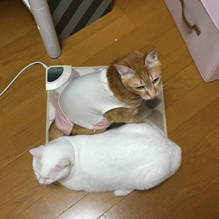 80f611a2 d6d7 4f78 bc7e bb127dd51f23