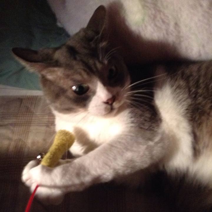 80f6c4f8 de4b 4b34 9a97 c0b38a8dadbf