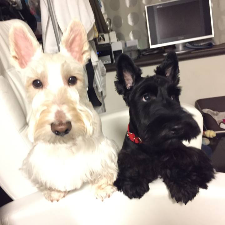 80f6c7e3 0519 40b1 8ed0 a293f467c6b8