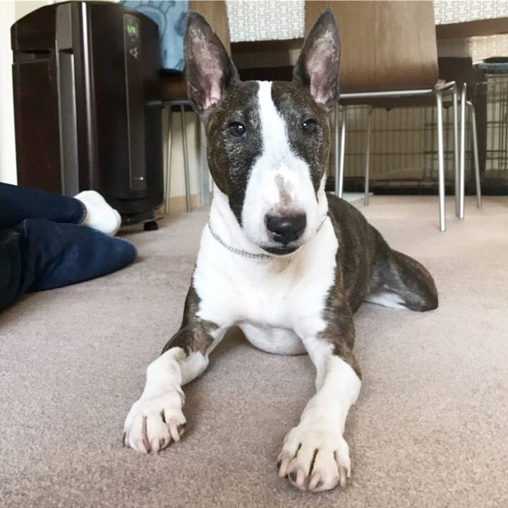 80f768d1 a46c 4fff aa3f 2d6e1e5e1389