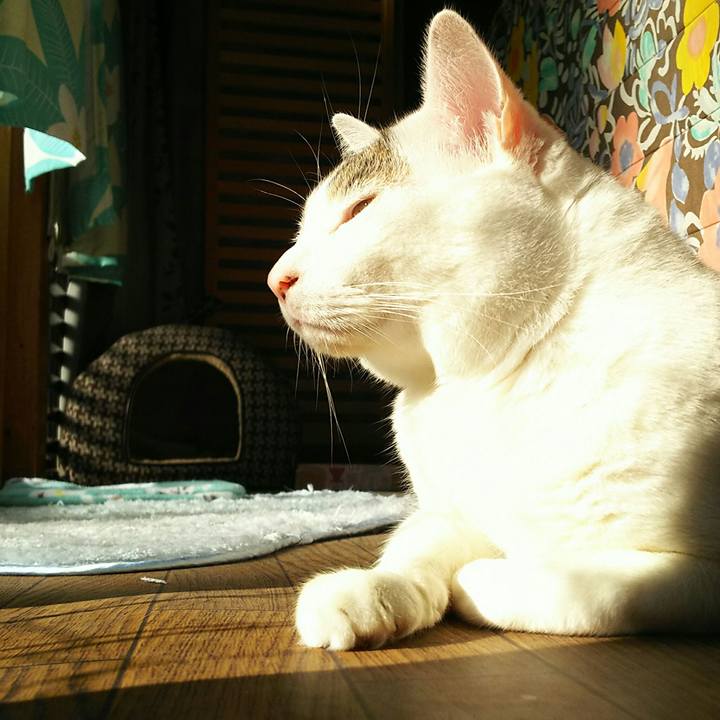 80f78f99 075b 48ea bd64 388e0cbade3e