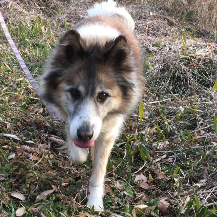 80f89ddd 100d 4ff8 8433 9609c67023fc