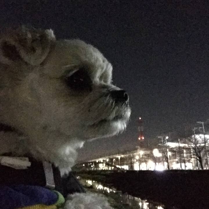 80f8aee3 e171 4b04 8268 873b07567225