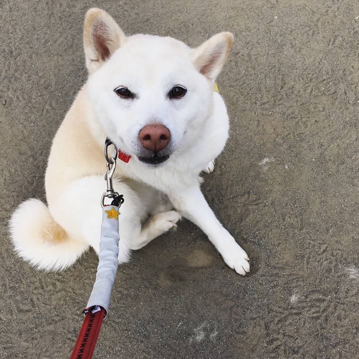 80f8e354 79d7 402e a1f6 2421510cb1fd