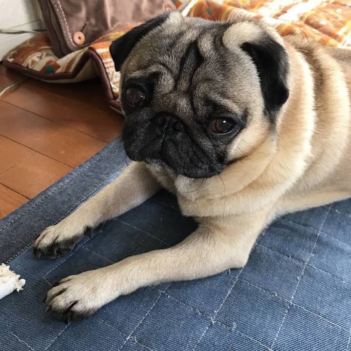 80f939c7 7af3 45a7 a8ee 8d970152924c