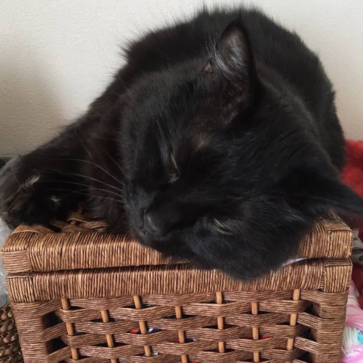 80f96425 d734 45cd 8ed5 43b1a0fd871c