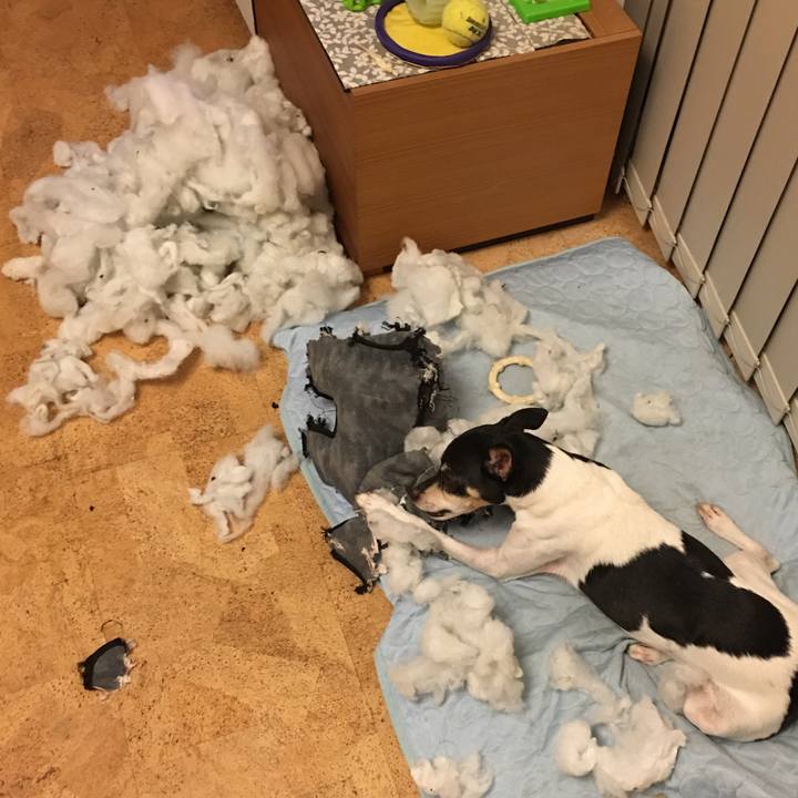 80f986ed 9f5a 4bc8 875f bbbd44949030