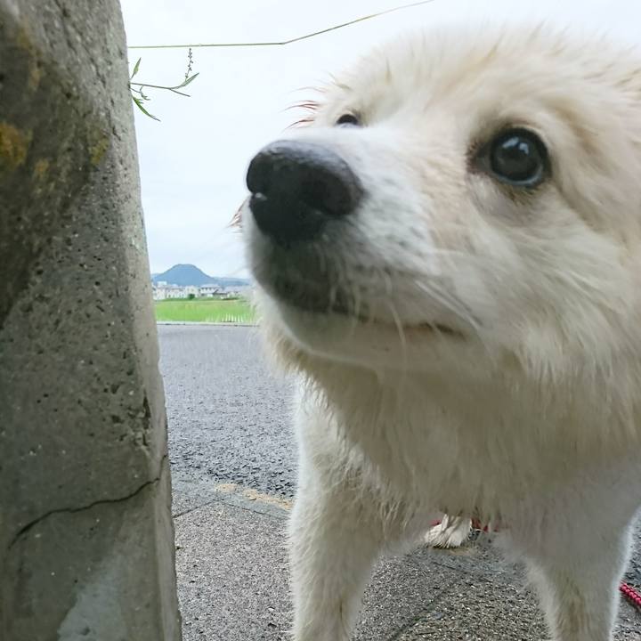 80f9cab3 45c7 49c1 a1e0 1c8fe4a132d9