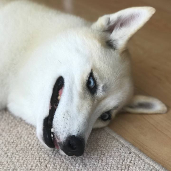 80f9e587 b378 464c 8f47 5b7e884a2b08