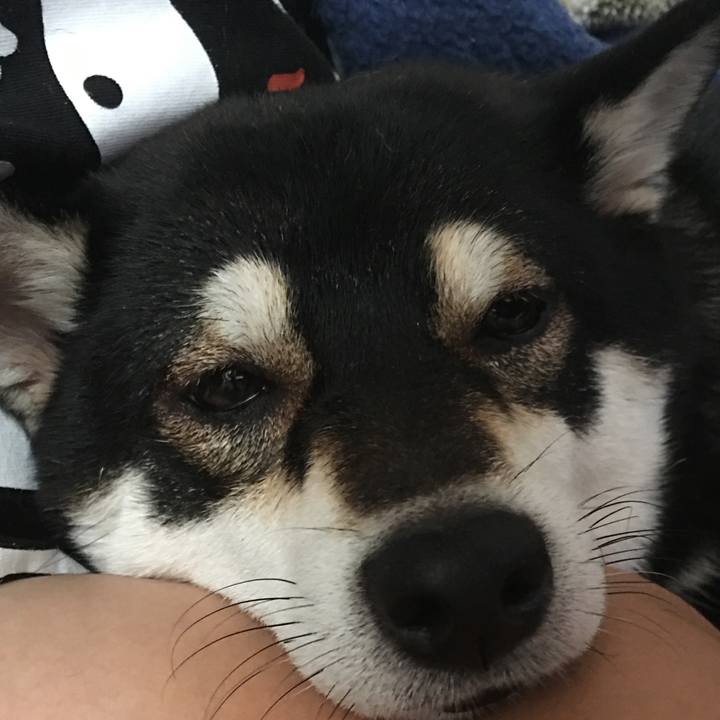 80f9fcb0 4eb1 4d3f a77f f9c73141295d