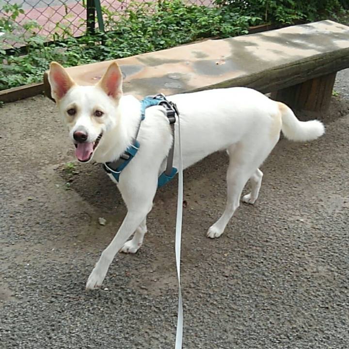 80fa5676 503e 485a a244 52ac7b899fed