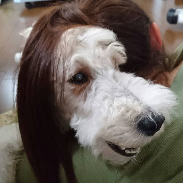 80fa84d5 6c1c 4a8f bb4a 0985e7c425cd