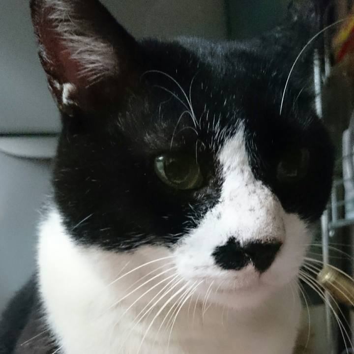 80fadb45 08ed 4e6d a2cc 2f99e6462adb