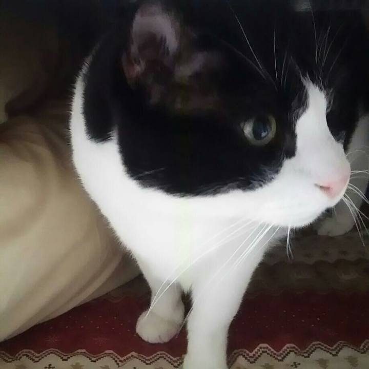 80fb1af1 2bee 4303 8a58 384769e557e3