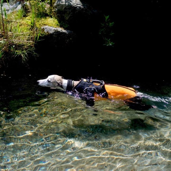 80fb2d76 b26b 4f49 837a cef9bb933b18