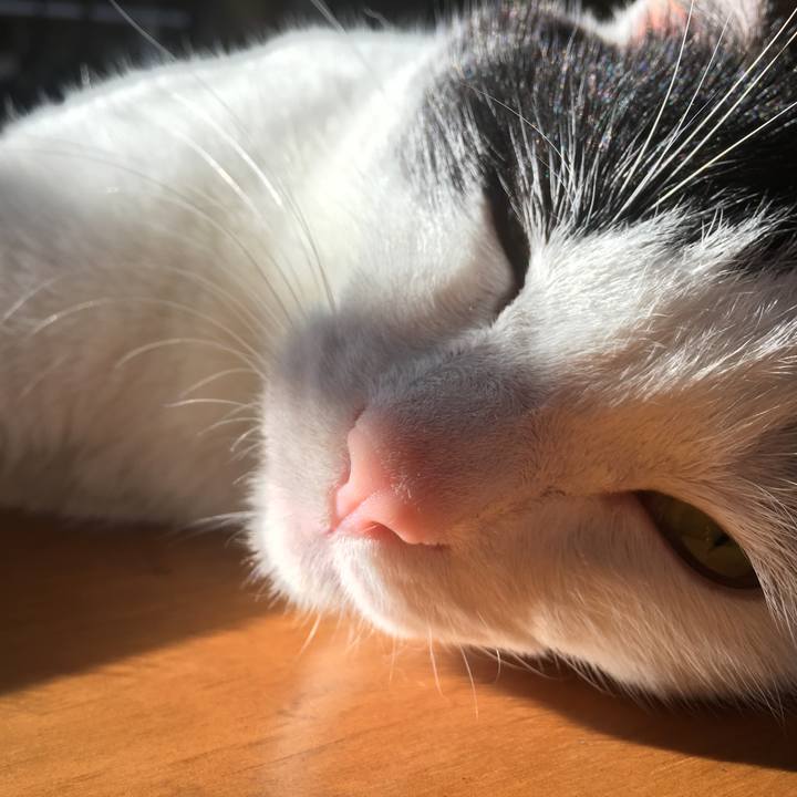 80fb9415 47b5 4d16 93d7 c0600393cd7e