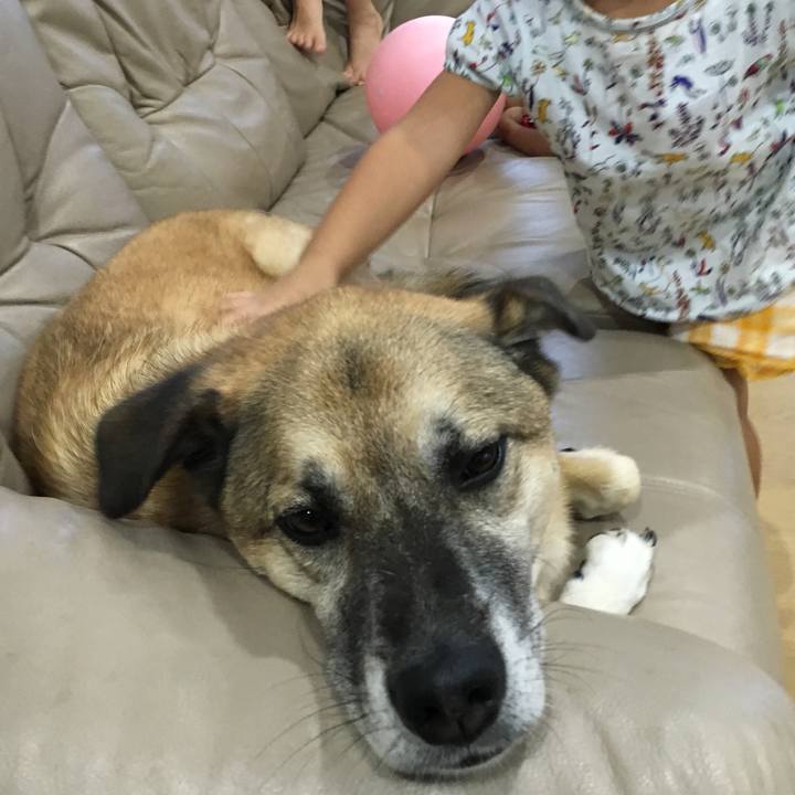 80fbb773 e0fd 4f35 a534 811bc4ec1df5