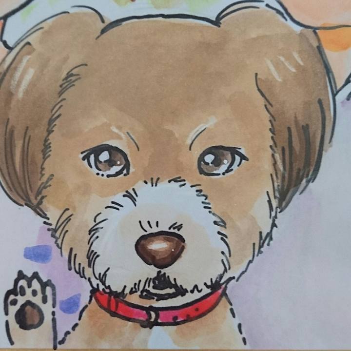 80fbe980 c1ef 4f3b b4f9 f544c5139aa8