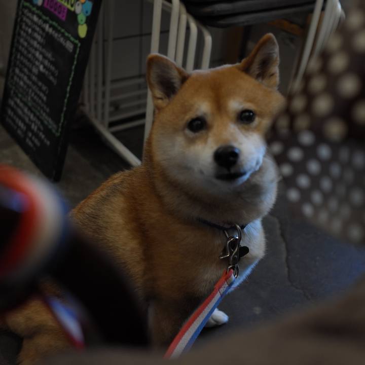 80fc6217 6462 4966 928e ca1770791da8