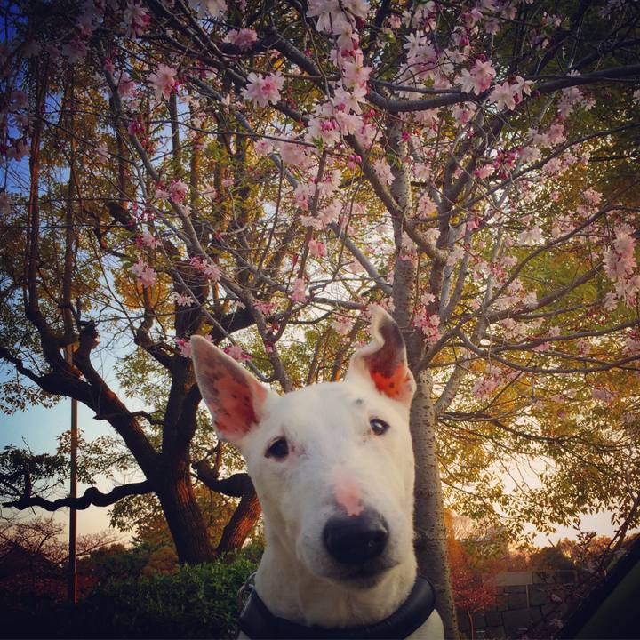 80fd3be2 bf29 4553 8b3c 32cbb6521db4