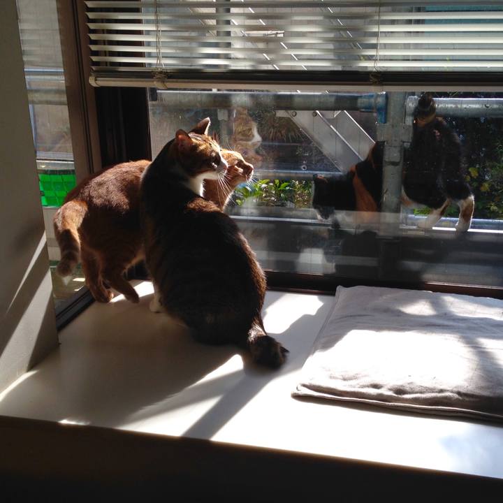 80fdc9a6 0ff0 4d82 a55e ba1028ea843b