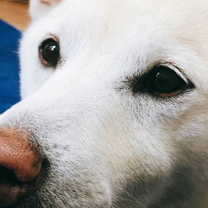 80fdd085 8bb8 4b2f 8d8d d45fcd54d738