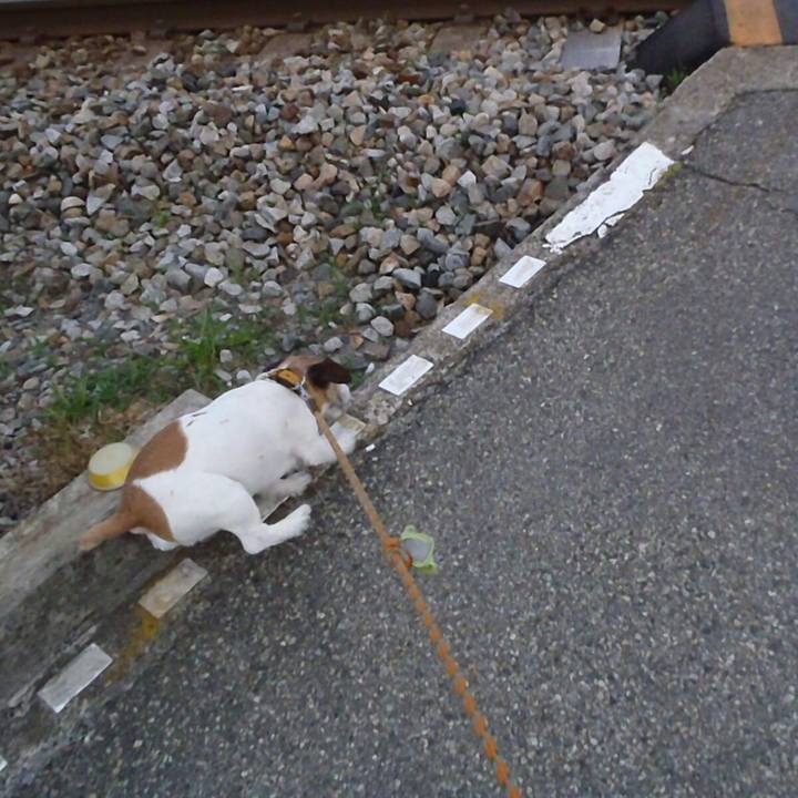 80fe18ca e284 437c 90f1 efe296eb13c0