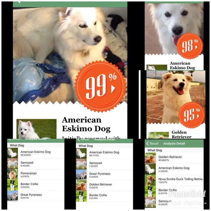 80fe1901 80f5 4373 b727 a8db60944bbb