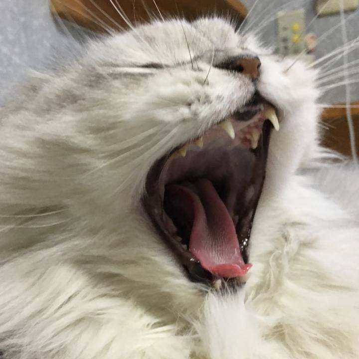 80fe263c f369 4953 a7a0 1b8b26f183ed