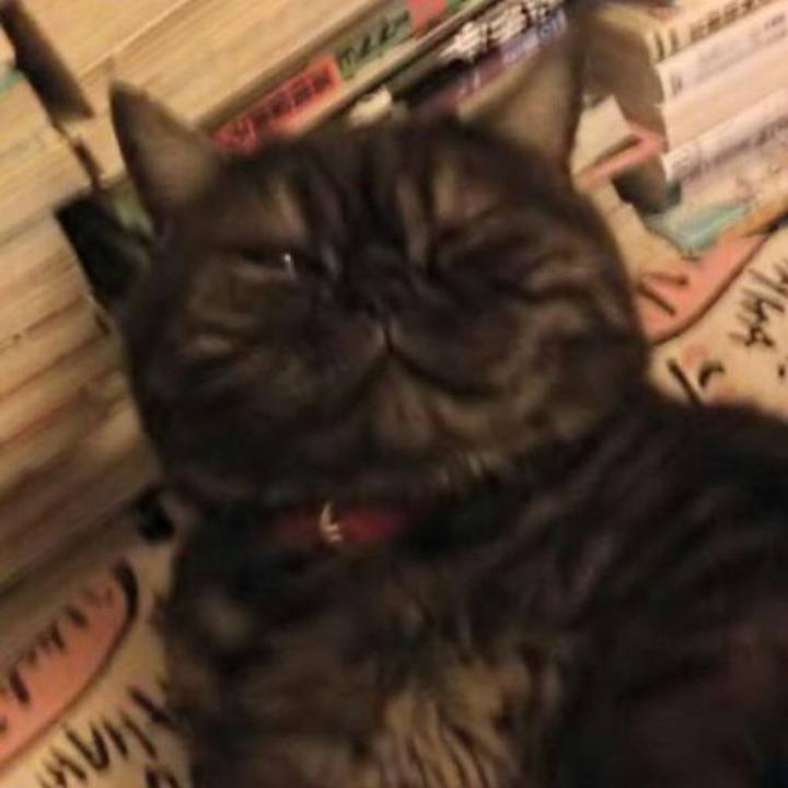 80fe5614 d9ac 4f56 9b3b 6d2f572d0ef1