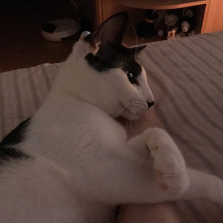 80fe5bde 6b50 4fb0 a6bd 500f3566f913