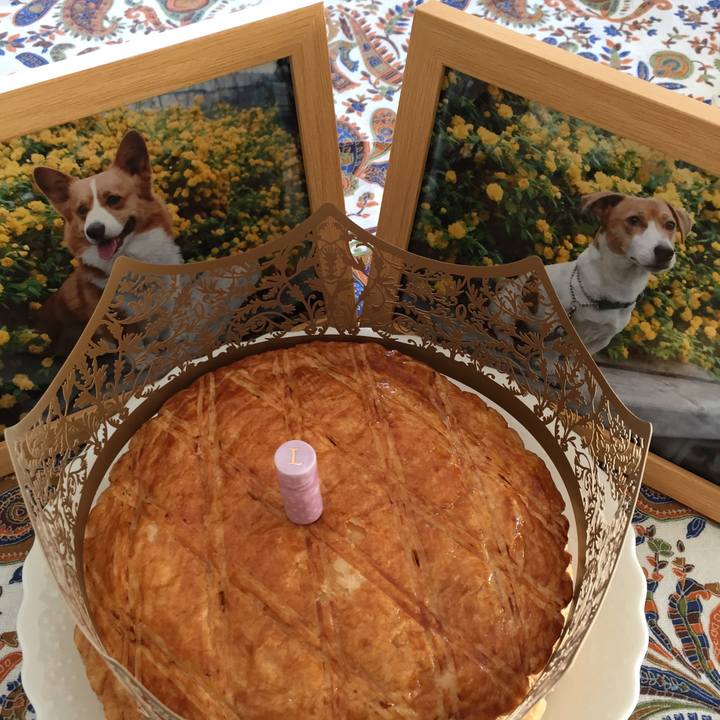 80feaf7f 5fc7 4370 9817 21898d16f8dc