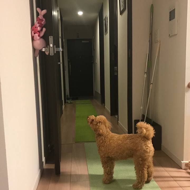 80ff62a9 08d9 49de b206 137ca461e2f6