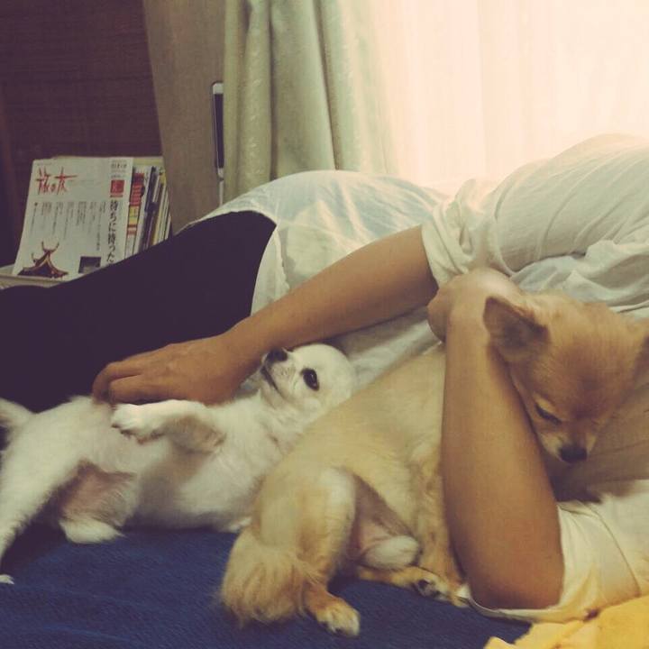 80ffcffe accf 4e64 8fbd 4cf22822533d