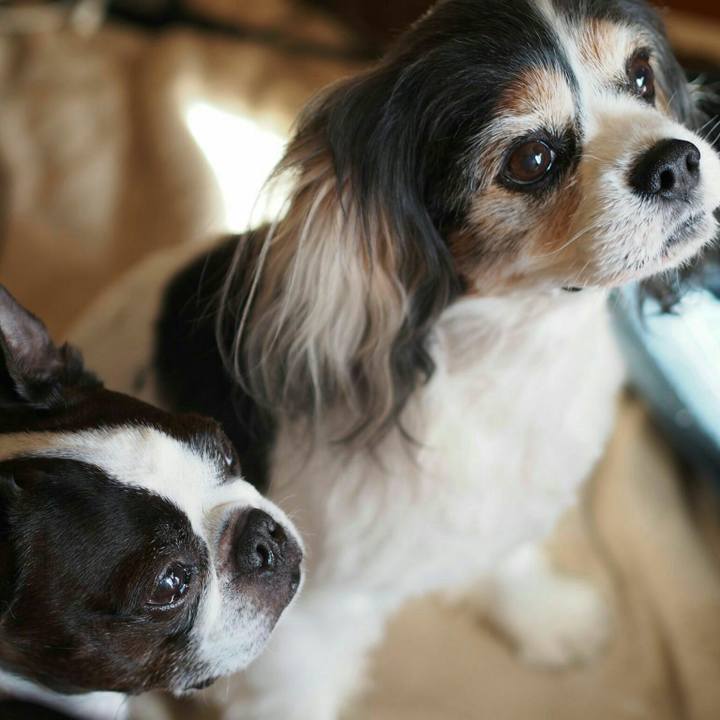 81007617 e5af 4417 b860 e928f3cf00a6