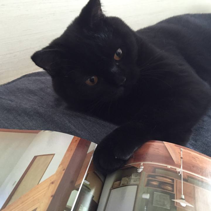 8100a367 aff6 4a83 ada4 efa127668b9d