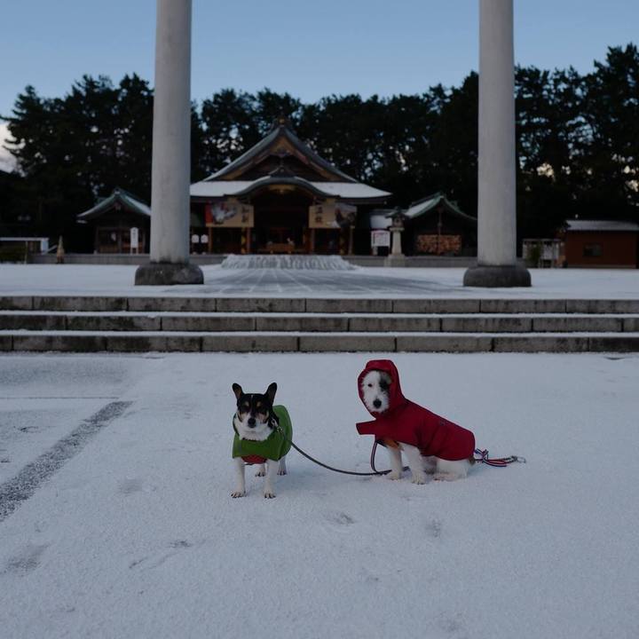 8100e625 6565 40d1 94a4 37407cfca4f0