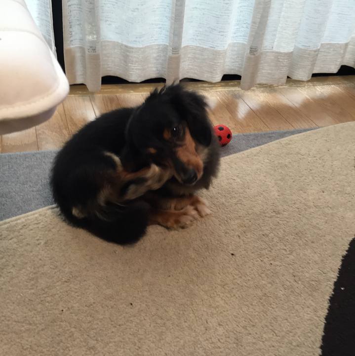 8100e90a cd74 46b3 aee3 852b9dcb8b26