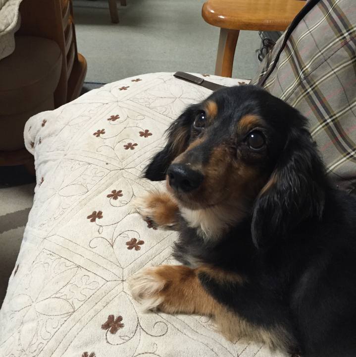 81018b72 1fe0 4c2a 8bd2 70e646bc73c5